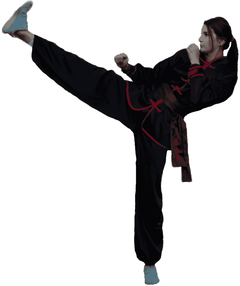 kung-fu trainer performing hi kick